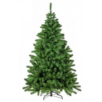   Triumph Tree 185 