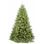   - Triumph Tree 155 