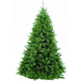   - Triumph Tree 185 