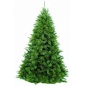   - Triumph Tree 185 