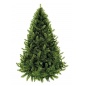  Triumph Tree   185 