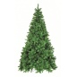  Triumph Tree - 260 