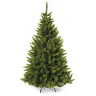  Triumph Tree  - 215 