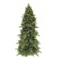  Triumph Tree  215  (216 )