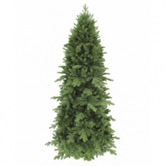  Triumph Tree    120 
