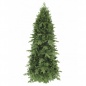  Triumph Tree    120 