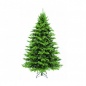  Triumph Tree   230 