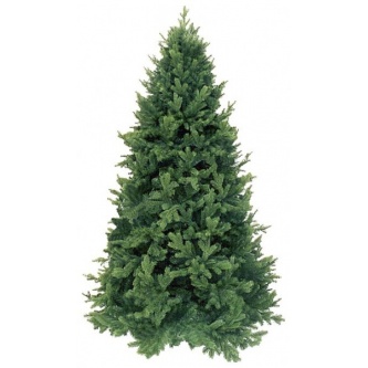  Triumph Tree  155 