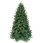  Triumph Tree  155 