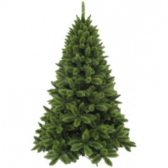  Triumph Tree    185 