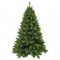  Triumph Tree   230 