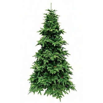  Triumph Tree    215 