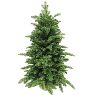  Triumph Tree  60  ( )