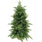  Triumph Tree  60  ( )