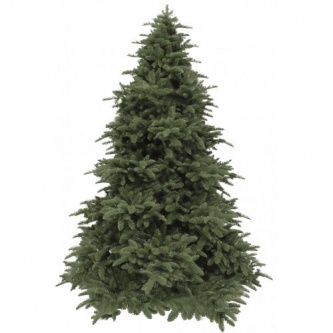  Triumph Tree  - 215 