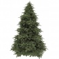  Triumph Tree  - 215 