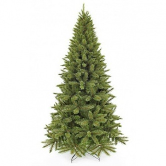  Triumph Tree    155 