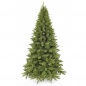  Triumph Tree    155 