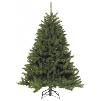  Triumph Tree   155 