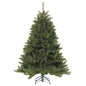  Triumph Tree   155 
