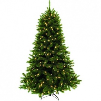  Triumph Tree   155  (152 )