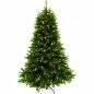  Triumph Tree   155  (152 )