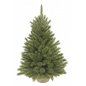  Triumph Tree   90  ( )