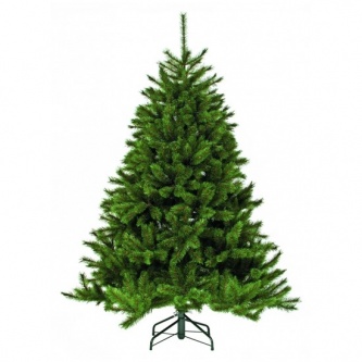  Triumph Tree   230 