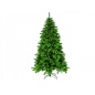    Triumph Tree   215 