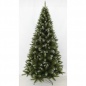  Triumph Tree   155 