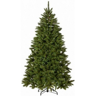  Triumph Tree   155 