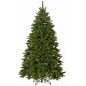  Triumph Tree   155 