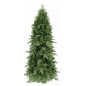  Triumph Tree   230 