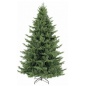  Triumph Tree   215 