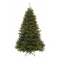  Triumph Tree  215 
