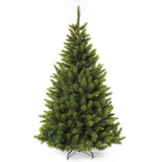  Triumph Tree  185 