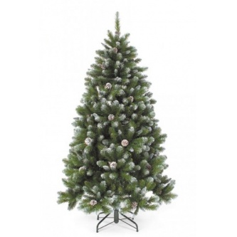  Triumph Tree     185 