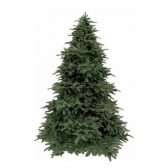  Triumph Tree  - 155 