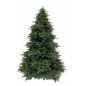  Triumph Tree  - 155 