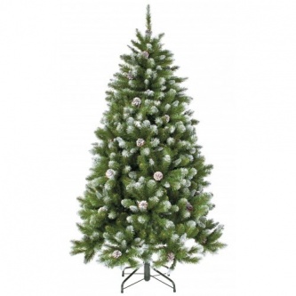    Triumph Tree   215 