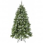    Triumph Tree   215 