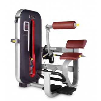    Bronze Gym MT-009