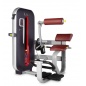    Bronze Gym MT-009