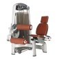    Bronze Gym A9-13