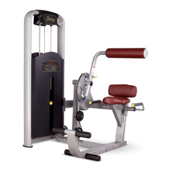    Bronze Gym MV-009
