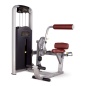   Bronze Gym MV-009