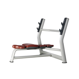     Bronze Gym H-23A