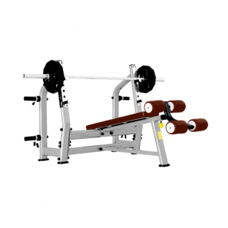    Bronze Gym J-024