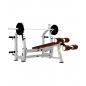    Bronze Gym J-024