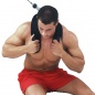     Body Solid ACH-18